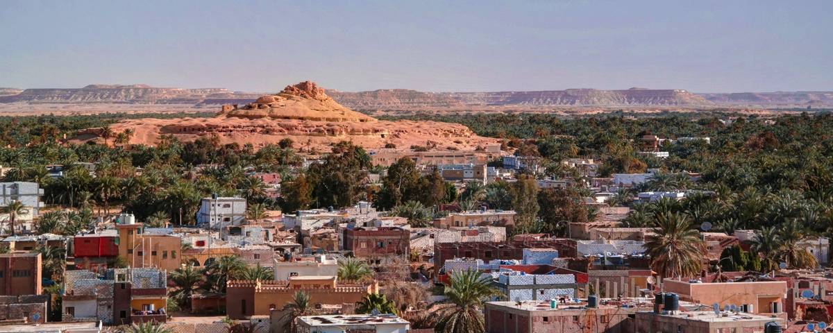 Blick auf die Oase Siwa